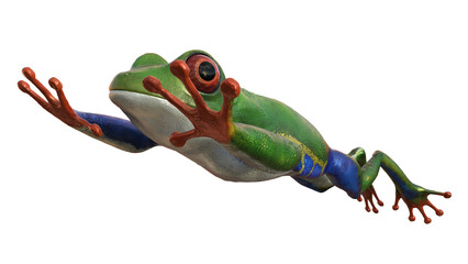 amazonas, frosch, grün, blau, orange, Sprung nass, wassertropfen, png