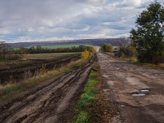 Fototapeta premium path in the field