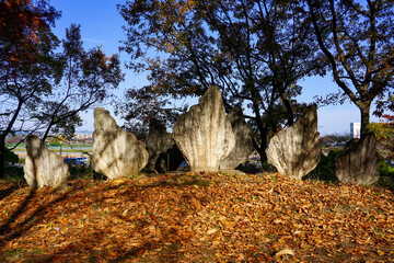 ステゴサウルス板骨の小径　阿須運動公園　古代広場（埼玉県飯能市） © WAWA