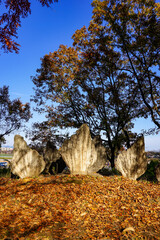 ステゴサウルス板骨の小径　阿須運動公園　古代広場（埼玉県飯能市） © WAWA