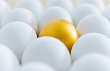 Single golden egg among white eggs