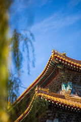 the palace museum in autumn 