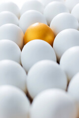 Single golden egg among white eggs