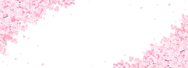 満開の桜　フレーム・背景素材（バナー向け横長）