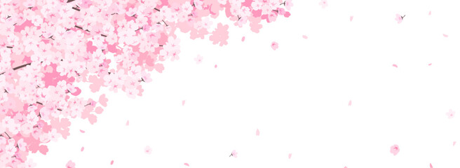 満開の桜　フレーム・背景素材（バナー向け横長） © Katie（カチエ）