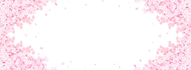満開の桜　フレーム・背景素材（バナー向け横長）