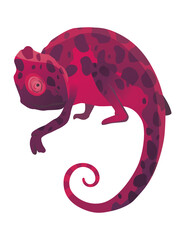 Chameleon lizard. Reptile with curved tail and camouflage skin, tropical wildlife. Exotic animal closeup