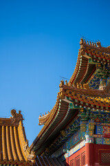 Fototapeta premium the palace museum in autumn