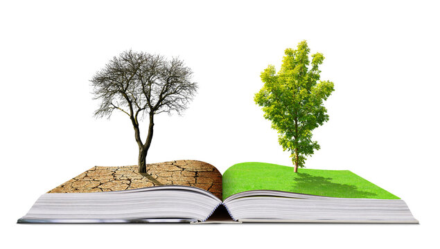 Open book with live and dead tree isolated on transparent background, PNG. Global warming or climate change concepts.