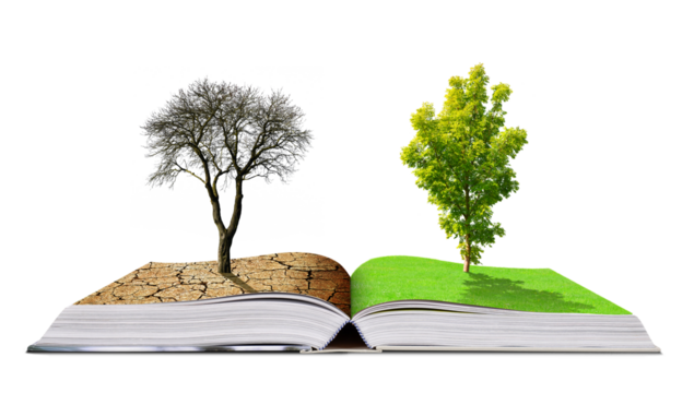 Open book with live and dead tree isolated on transparent background, PNG. Global warming or climate change concepts.