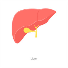Liver