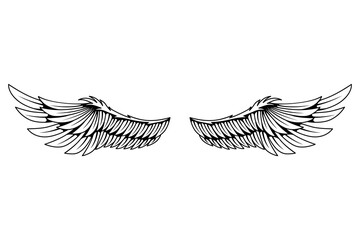 Vintage heraldic wings sketch. Monochrome stylized birds wings. Hand drawn contoured stiker wing in open position. Design elements in coloring style