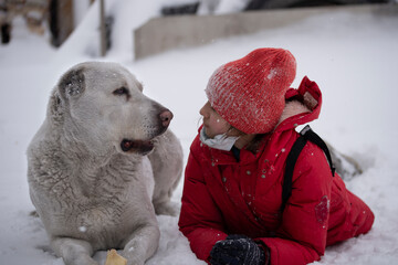A girl in a red jacket and a big white dog lie together on the white snow. Winter fun..Friendship of pets and children - 552772764