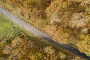 aerial view of a road and a forest in autumn, autumn colors