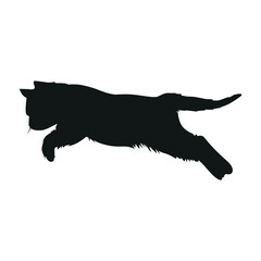 Cat Silhouette