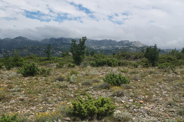 Fototapeta na wymiar gravel desert in mountains with grass in croatia