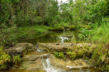 A scenic view of calm creek