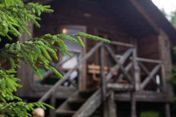 Wooden terrace of wooden house. wooden planking. windows. Outside furniture. Perfect view on oak forest.