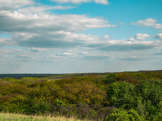 Fototapeta premium field and sky