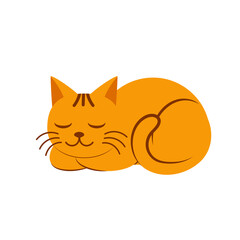 Cute cat cartoon