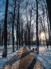 winter in the park