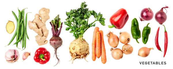 Different root vegetable set. PNG with transparent background. Flat lay. Without shadow.