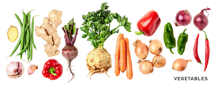 Different root vegetable set. PNG with transparent background. Flat lay. Without shadow.