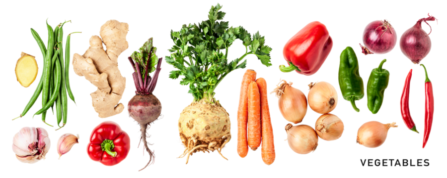 Different root vegetable set. PNG with transparent background. Flat lay. Without shadow.