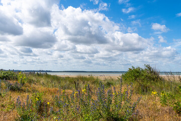 Les dunes le long de la plage du Crotoy