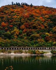 autumn in the park