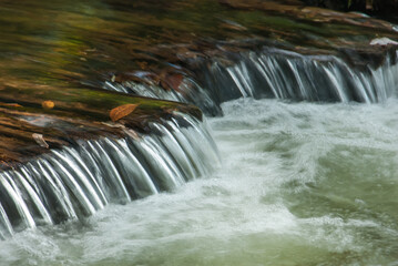 Brook