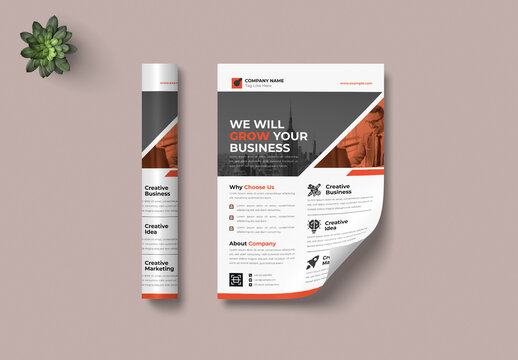 Business Flyer Design