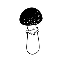 Magic mushrooms. Psychedelic hallucination. Outline vector illustration isolated on white. 60s hippie art. Coloring book for kids and adults.
