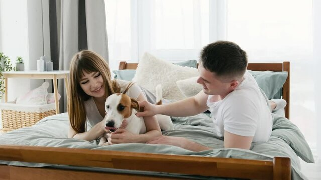 Beautiful couple staying in the bed in the morning, peting cute dog and smiling. Attractive woman and man in their bedroom with pet doggy. Concept of happy family relationships and togetherness