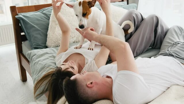 Beautiful couple lying in the bed in the morning and peting cute small dog. Attractive woman and handsome man spend morning time together with pet doggy. Concept of happy family relationships