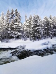 Winter landscape with river and snow-covered banks and forest. Kolvitsa village near Kandalaksha, Kola Peninsula, Murmansk region.