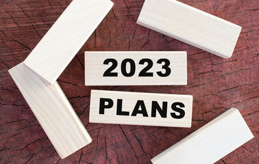 The text 2023 PLANS is written on a wooden cube lying on an old tree stump.