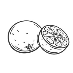 Whole tangerine and cut in half line icon vector illustration. Hand drawn outline sweet mandarin or orange with peel and round cut of citrus fruit, sweet tangarine or clementine sections for juice