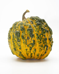 Close-up of small isolated pumpkin on a white background