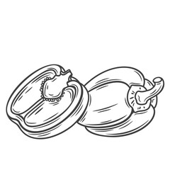 Whole bell pepper and cut in half line icon vector illustration. Hand drawn outline sliced sweet paprika with seeds and whole raw Bulgarian pepper, organic food ingredient for cooking in kitchen