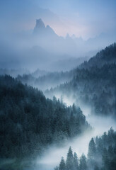 Foggy sunrise in the mountain forest. AI