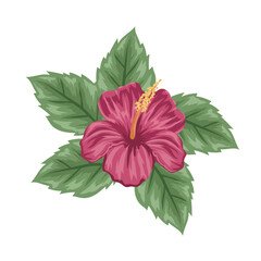 Red hibiscus flower with five leaves. Vector illustration in realistic style. Tropical leaf on a white background. 