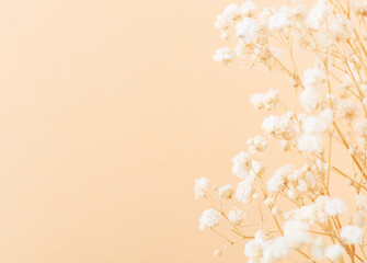 Beautiful flower background of pastel gypsophila flowers. Flat lay, top view. - 552801571