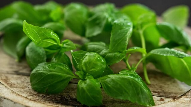 Fresh green basil leaves on a wooden board, close up view