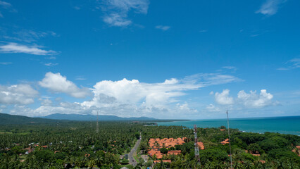 field of poppies and sky