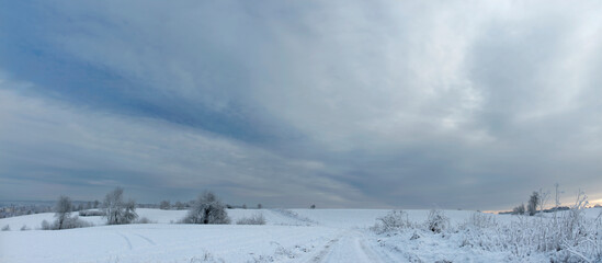 snow covered fields