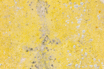 Yellow paint cement wall texture for background, wallpaper
