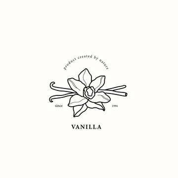 Line art vanilla flower illustration