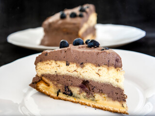 Dark chocolate blueberry cream cake on plate