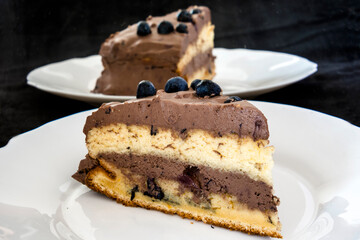 Dark chocolate blueberry cream cake on plate